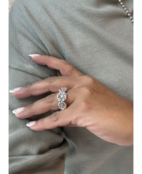 Anillo Liatris Plata