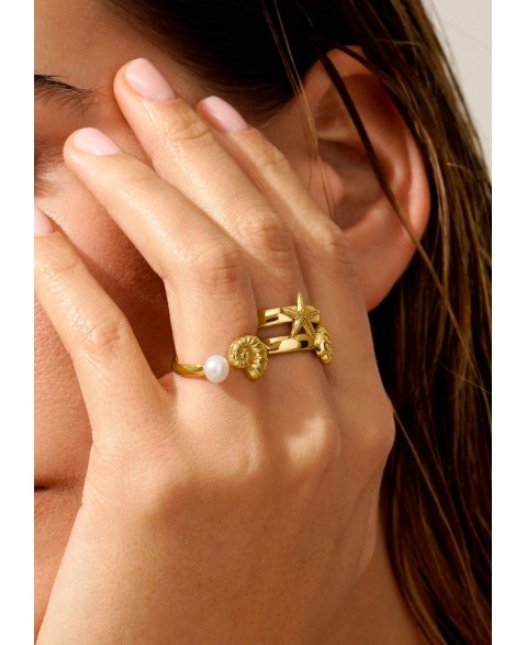 Anillo Abierto Caracola y...